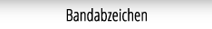 roessler-medaillen-eintrittsabzeichen-bandabzeichen-startmenue